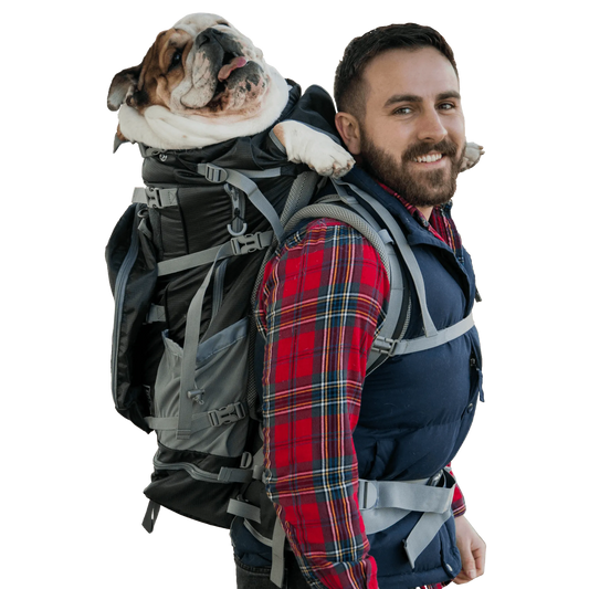 Big Dog Carrier Wear & Backpacking Pack