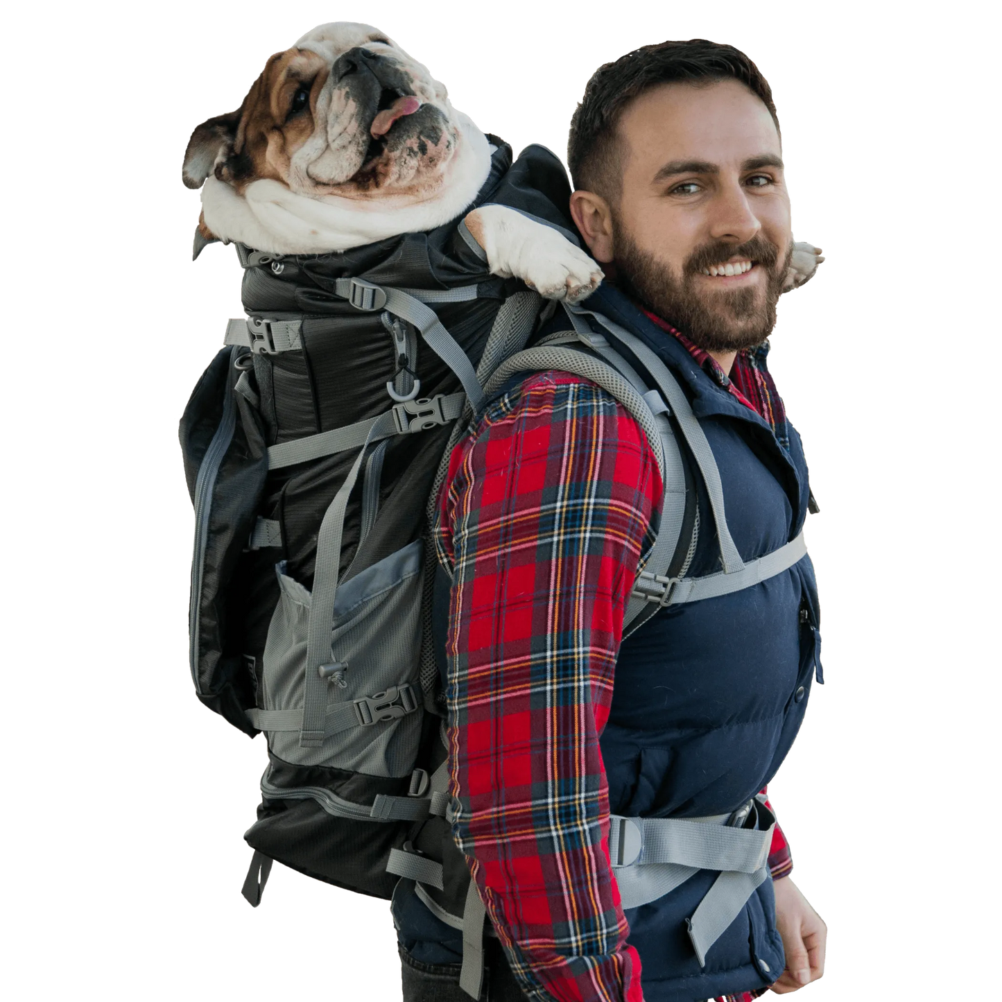 Big Dog Carrier Wear & Backpacking Pack