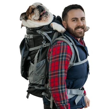 Big Dog Carrier Wear & Backpacking Pack