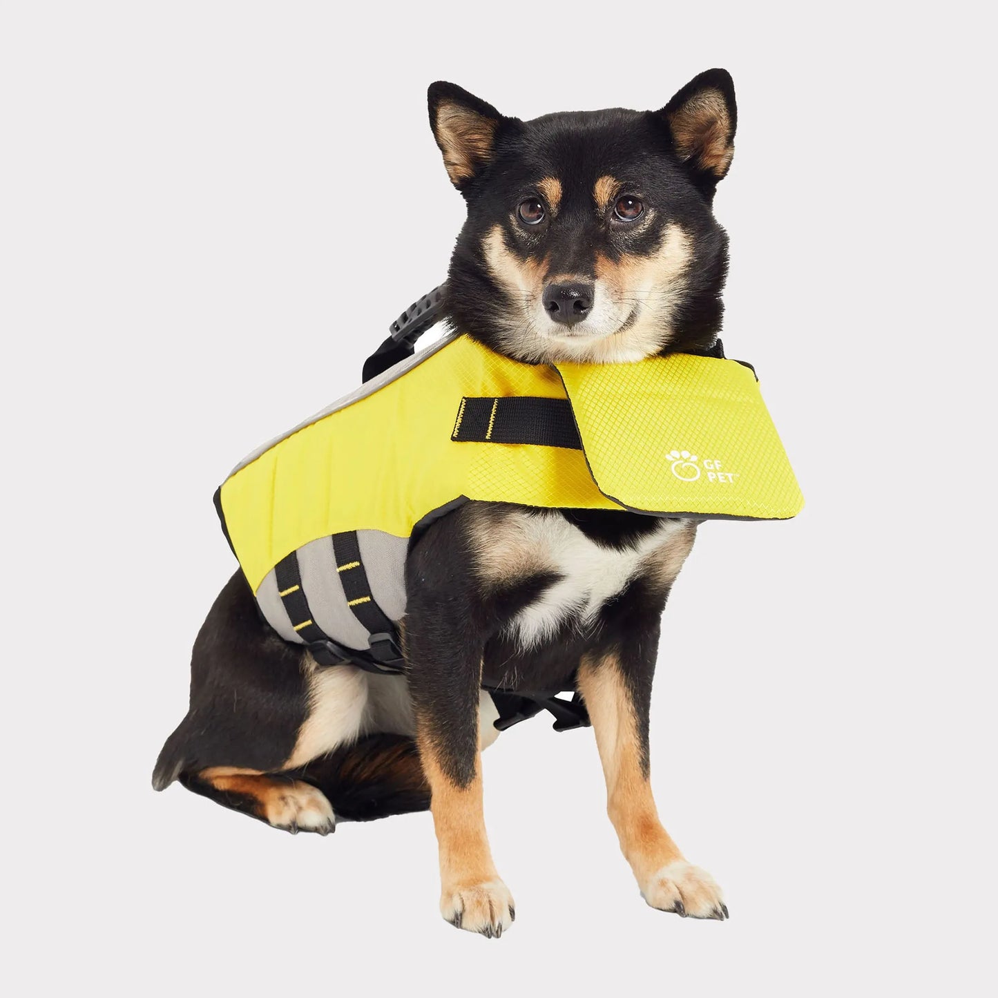 Pet Life Jacket Vest